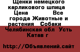 Щенки немецкого карликового шпица › Цена ­ 20 000 - Все города Животные и растения » Собаки   . Челябинская обл.,Усть-Катав г.